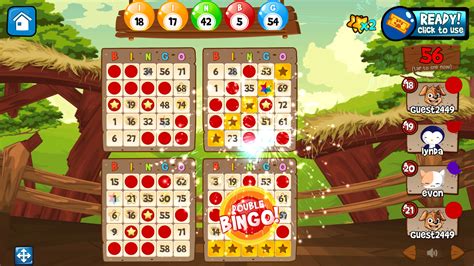 Bingo Abradoodle .